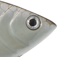 Shiny Shad Glow