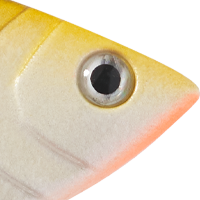Perch Glow