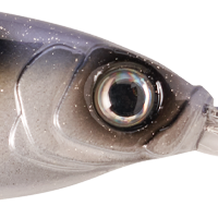 Glimmer Shad