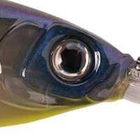 Exo Shad