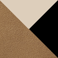 Delta/Ancient Fossil/Black