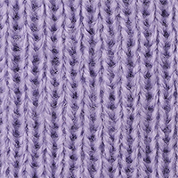 Violet Tulip