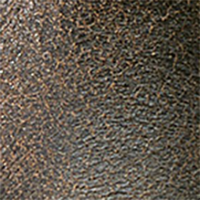 Acorn