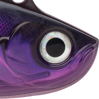 Purple Mackerel