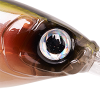 Natty Shad