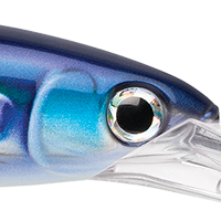 HD Flying Fish