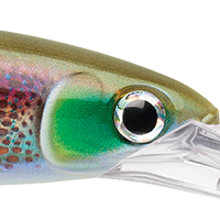 HD Squid