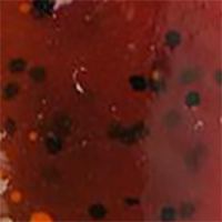 Watermelon/Red Flake