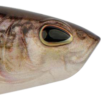 HD Yellow Perch