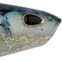 HD Blue Shad