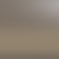 Silver/Brown Chromance Mirror