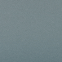 Neutral Gray