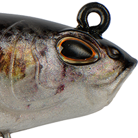 Mullet