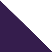 Purple/White
