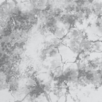 Mod Gray
