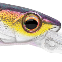 Bold Shad