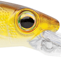 Ghost Minnow