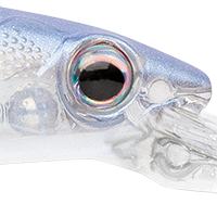 Ghost Sexy Shad