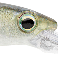 Ghost Shiner