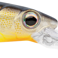 Hot Perch