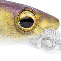 Matte Shad