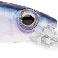 Pearl Sexy Shad