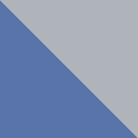 Bluebell/Cool Grey Logo