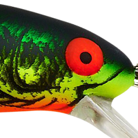 Fire Tiger Bass