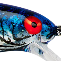 Silver Flash Blue