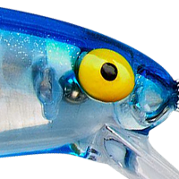 Silver Prism Blue