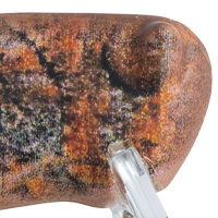 Rusty Brown