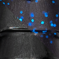 Darkwater Bug