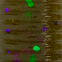 Green Pumpkin/Green Purple Flk