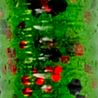 Watermelon/Red Flake