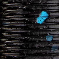 Black & Blue