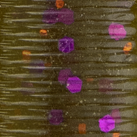 Green Pumpkin/Purple Copper Fk