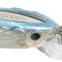 Green Pumpkin SX Shad