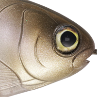 Matte Shad
