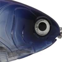 Pro Blue
