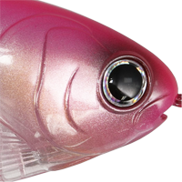 Pinkasagi