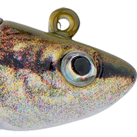 HD Blacknose Shiner