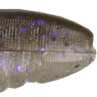 Electric Shad