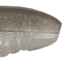 Tennessee Shad