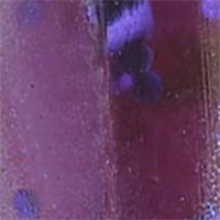 Purple Magic