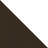 Cleveland Brown/White