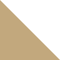 Team Vegas Gold/White