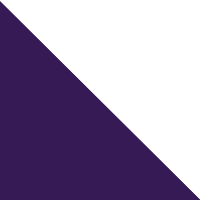 Purple/White