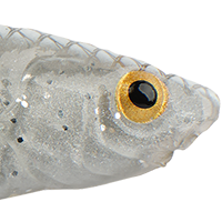 White Shiner