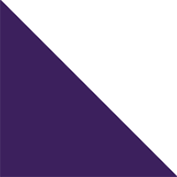 Purple/White
