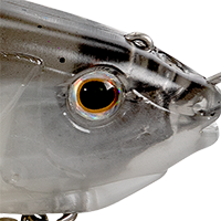 Ghost Shad